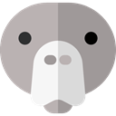 Face, Animal, head, Front, Animals, walrus, outline, Frontal, Outlined, Sea Cow DarkGray icon