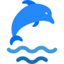 Animal, dolphin, Animals, Aquarium, Aquatic, Sea Life Black icon
