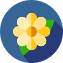 Flower, nature, petals, blossom, Botanical SteelBlue icon