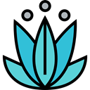 nature, oriental, Yoga, lotus, meditation, Chakra, hinduism MediumTurquoise icon