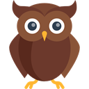bird, hunter, owl, Animals, wisdom SaddleBrown icon