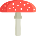Mushroom, nature, Fungi, Amanita, Muscaria Tomato icon