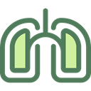 medical, organ, Lungs, Breath, Anatomy, Lung, Healthcare And Medical DimGray icon