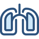 medical, organ, Lungs, Breath, Anatomy, Lung, Healthcare And Medical DarkSlateBlue icon