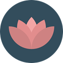nature, garden, lotus, blossom, Flower, Botanical DarkSlateGray icon