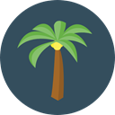 Summertime, Palm Tree, Botanical, Beach, summer, tropical, nature DarkSlateGray icon