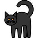 scary, fear, Terror, Animals, spooky, Black cat, pet, halloween, horror DarkSlateGray icon
