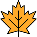 plant, Leaf, Botanical, nature, halloween, garden, maple leaf Goldenrod icon