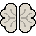 people, medical, Brain, Body Part, Body Organ, Brain Anterior, Anterior Part, Human Brain, Healthcare And Medical LightGray icon
