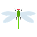 insect, nature, fly, insects, Dragonfly Black icon