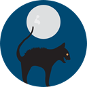 halloween, Black cat, scary, fear, Frightening, horror, Terror, Animals, spooky MidnightBlue icon
