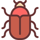 insect, Animals, beetle, Wild Life, Animal Kingdom SaddleBrown icon
