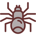 insect, spider, Animals, Wild Life, Arachnid, Animal Kingdom SaddleBrown icon