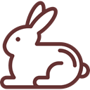 Animals, rabbit, Wild Life, Animal Kingdom SaddleBrown icon