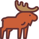 Animal, zoo, Animals, elk, Wild Life, Animal Kingdom SaddleBrown icon