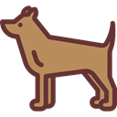 dog, pet, Animals, Animal Kingdom Peru icon