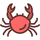 summer, Crab, Crabs, Summertime, food, Animals, Aquarium, Beach, Sea Life SaddleBrown icon