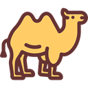 Animal, Camel, zoo, Animals, Wild Life, Animal Kingdom SandyBrown icon