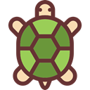 pet, Animals, reptile, tortoise, Amphibian SaddleBrown icon