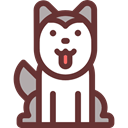 dog, pet, Animals, Animal Kingdom, Siberian Husky SaddleBrown icon