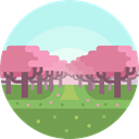 nature, landscape, scenery, Cherry Tree PaleTurquoise icon