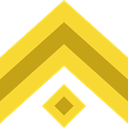 miscellaneous, Chevron, Military, Army Gold icon