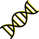 Deoxyribonucleic Acid, Dna Structure, Genetical, science, medical, education, Biology, dna Black icon