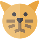 Cat, pet, Animals, Animal Kingdom SandyBrown icon