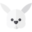 Bunny, zoo, Animals, rabbit, mammal, Wild Life, Animal Kingdom WhiteSmoke icon