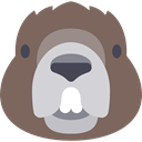 wild, wildlife, Beaver, Animal, zoo, Animals, mammal DimGray icon