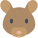 Mouse, Animals, rodent, Wild Life, Animal Kingdom RosyBrown icon