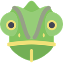 wild, reptile, wildlife, Animal, Animals, Chameleon DarkSeaGreen icon