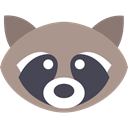mammal, wild, wildlife, raccoon, Animal, America, Animals RosyBrown icon