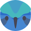 Animal, Colibri, bird, Animals, wild, wildlife SteelBlue icon