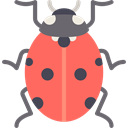 Animal, insect, Animals, ladybug, wild, wildlife Tomato icon