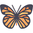 Animal, insect, butterfly, Animals, Pretty, wings DarkSlateGray icon