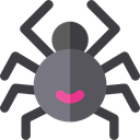 Animal Kingdom, insect, spider, Animals, Arachnid DarkSlateGray icon