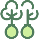 trees, Ecologism, Ecology And Environment, Reforestation, nature, Forest, woods, ecology DimGray icon