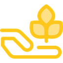 Tree, nature, gardening, Sprout, Growing Seed, Ecology And Environment, Hands And Gestures, Farming And Gardening Gold icon
