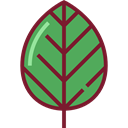 leaves, Botanical, Leaf, nature, leave, garden, plant MediumSeaGreen icon