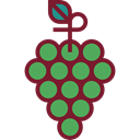 food, Fruit, fruits, Berries, grape, Berry, Grapes, Bouquet, Food And Restaurant Black icon