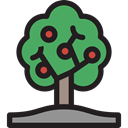Tree, Fruit, nature, leaves, trees, Tools And Utensils, Growing, Fruit Tree, Farming And Gardening Black icon