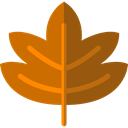 plant, Leaf, nature, halloween, garden, maple leaf, Botanical Chocolate icon