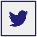 Logo, twitter, Social, media WhiteSmoke icon