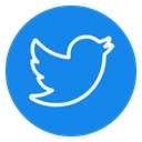 media, Social, tweet, twitter icon, network, Connection, bird DodgerBlue icon
