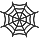 insect, halloween, Animals, cobweb, Spider Web, Trap DarkSlateGray icon
