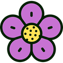Flower, nature, petals, blossom, Botanical Orchid icon