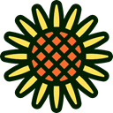 sunflower, petals, blossom, Botanical, Flower, nature Black icon