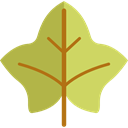 Botanical, garden, season, maple leaf, autumn, plant, fall, Leaf, nature DarkKhaki icon