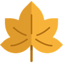 plant, Leaf, nature, halloween, garden, maple leaf, Botanical Goldenrod icon